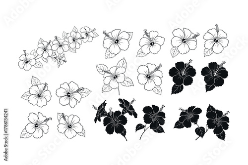 Tropical Hibiscus Vector Illustration Pack