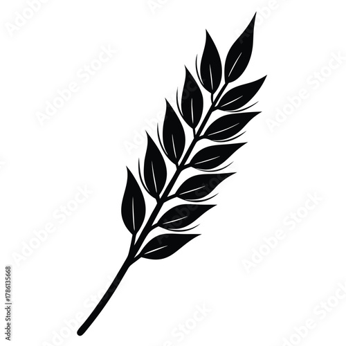 oat branch black and white silhouette on white background