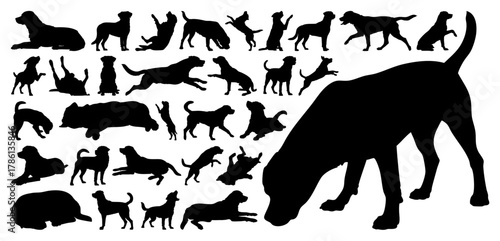 Rottweiler Dog Silhouette Vector Set - Guard, Run, Sit, Jump, Play and More Poses, Transparent Background