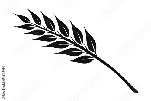 oat branch black and white silhouette on white background