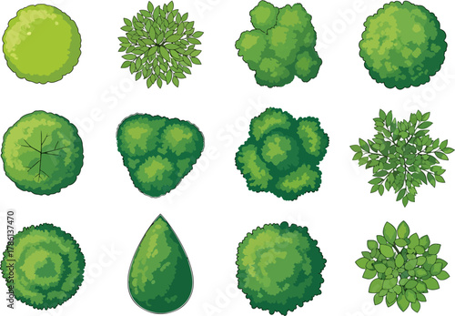 Collection of 12 Top View Tree Illustrations for Landscape Design and Architectural Visualization Greenery