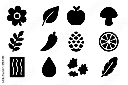 Natural Odor Icons. Solid style icons of natural odor sources: flower, leaf, fruit, mushroom, herb, spice, pinecone, citrus, bark,
