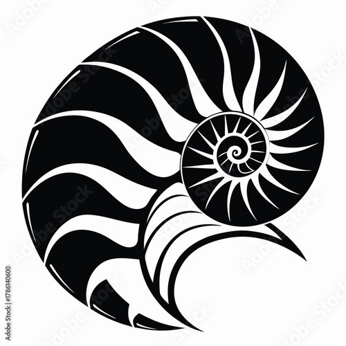 nautilus shell black and white silhouette on white background