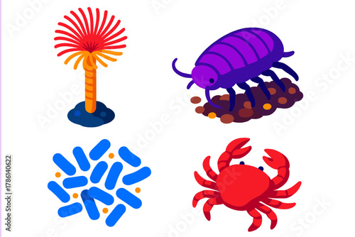 Deep Sea Nutrient Web. Isometric vector illustration set Deep Sea Nutrient Web: Filter-feeding worm, detritus-consuming isopod,