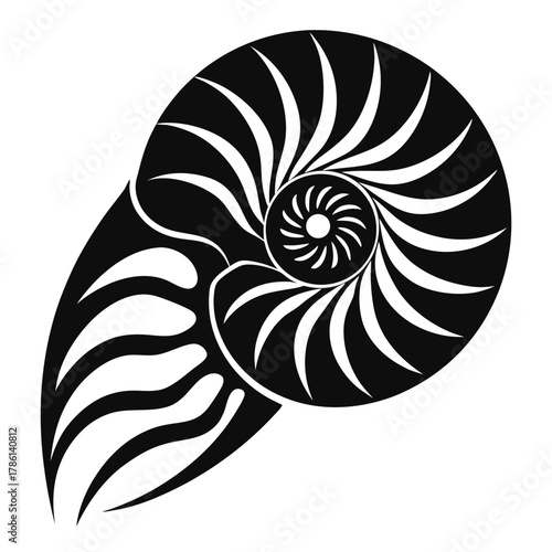 nautilus shell black and white silhouette on white background