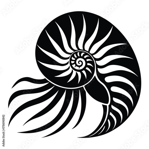 nautilus shell black and white silhouette on white background