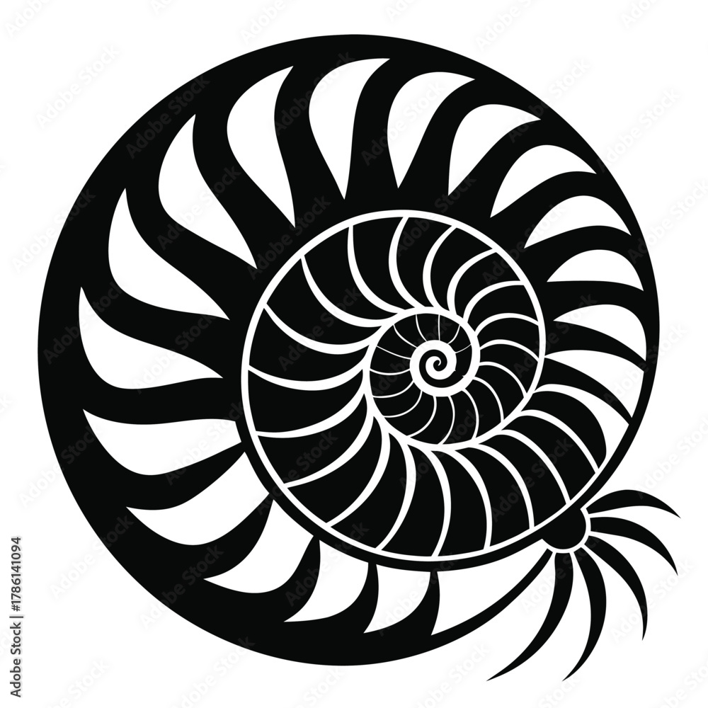 Obraz premium nautilus shell black and white silhouette on white background