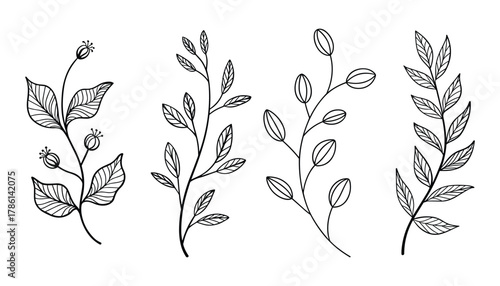 Four black line art botanical elements including leaves and buds on a white background plant leaf