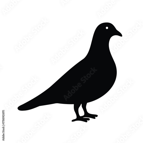 Black silhouette of a standing pigeon against a bright white background