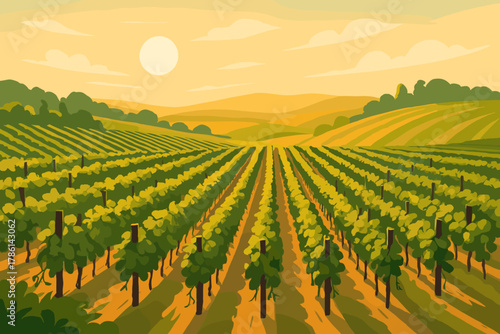 Golden Vineyard Vista. Scenic vineyard landscape with vector illustration rows of grapevines stretching into the distance under