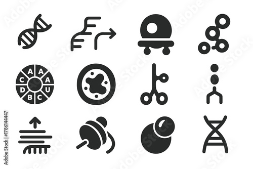 Molecular Biology Icons. Solid style icons of Molecular Biology: RNA strand, transcription process, ribosome, protein chain, codon