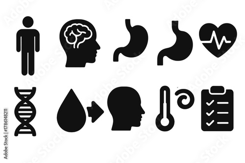 Human Physiology Icons. Solid style icons of individual susceptibility and physiology: human figure, brain, inner ear, stomach,