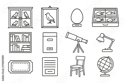 Ornithology Museum Icons. Line style icons of ornithology museum: display cabinet, framed bird, labeled egg, specimen drawer;