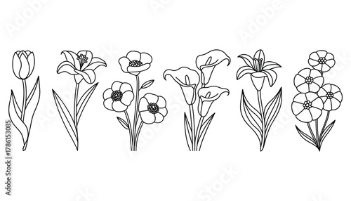 Black and white line art illustrations of various flowers including tulips calla lilies and poppies floral