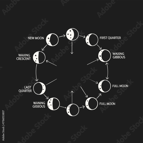 An illustrated diagram shows the different phases of the moon, perfect for educational or astronomical purposes on a dark background.