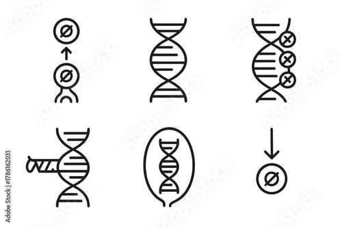 Epigenetic Inheritance Icons. Line style icons of epigenetic inheritance: transgenerational signal, parent-offspring DNA link,