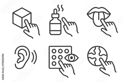 Sensory Brain Training Icons. Line style icons of sensory integration in brain training: touch cube, scent stimulation bottle,