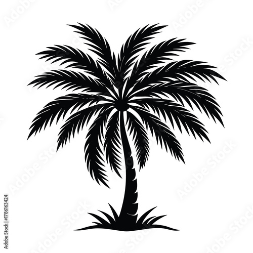 Silhouette of a palm tree  Illustration on White Background