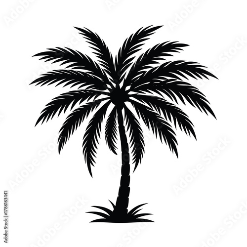 Silhouette of a palm tree  Illustration on White Background