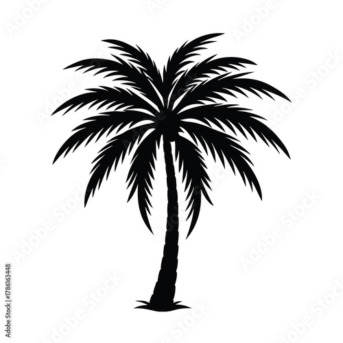 Silhouette of a palm tree  Illustration on White Background