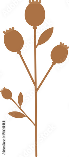 A stylized illustration of a brown poppy seed pod plant with leaves on a white background.