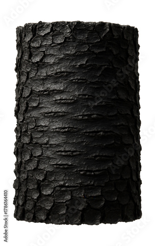 Dark, scaly black cherry bark featuring horizontal lenticels.