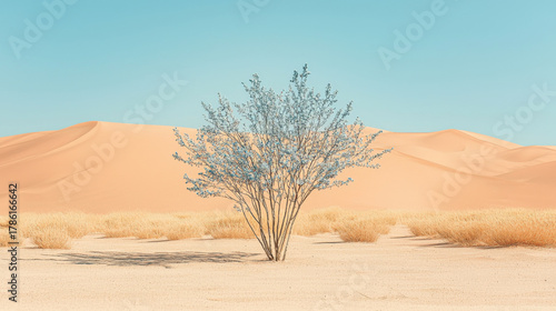 Desert shrub arid landscape sand dune solitary plant blue sky dry grass oasis hint minimal scene