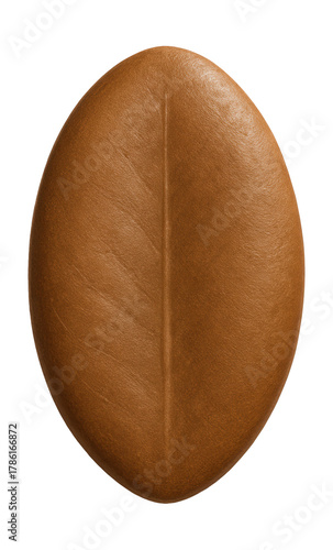 Oval-shaped mangrove leaf scar with a smooth, brown texture.