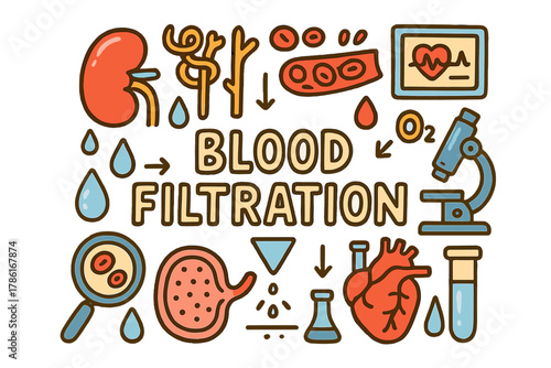 Blood Filtration Diagram. Blood Filtration. Hand-drawn doodle illustration of blood filtration. Kidney,