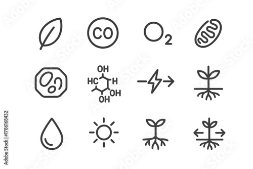 Plant Respiration Icons. Plant respiration. Line outline icon set of plant respiration: leaf, CO2 molecule, O2