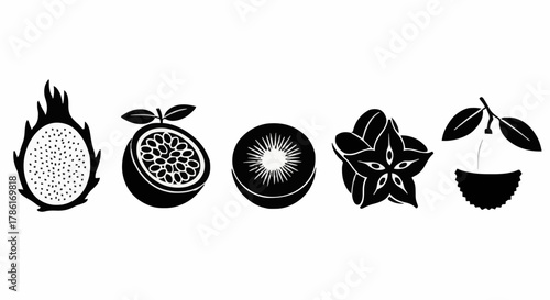 Exotic fruit black and white illustration set, tropical fruit icon design, vector illustration