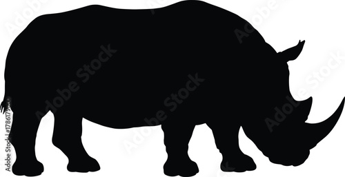 Silhouette, rhinoceros, animal, wildlife, horn, profile, black, nature, safari, grazing, strong, beast, endangered, Africa, thick, legs, powerful, mammal, wild, creature
