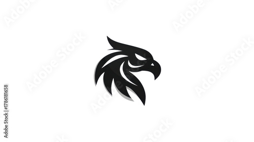 Black Eagle Head Logo Design on White Background