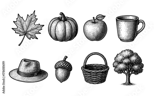 Autumn harvest: detailed hand-drawn fall elements featuring leaves, fruits, and seasonal symbols