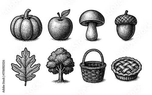 Vintage harvest elements with hand-drawn autumn pumpkin, apple, and oak tree