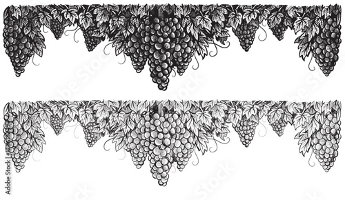 Grapevine with bunches of grapes in center and sides. black and white vector illustration. Sketch style vine branches leaves. Wine labels design, branding border hand drawn decorative