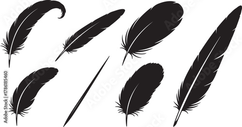 Collection of seven black silhouette feathers isolated on white background