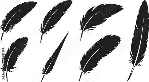 Collection of seven black feather silhouettes isolated on a white background