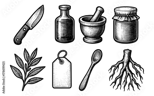 Vintage engraving of herbal apothecary tools and ingredients
