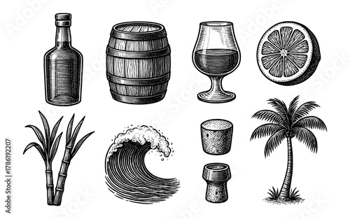 Vintage rum elements with barrel, glass, palm, and cane in engraved style