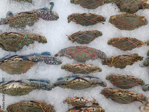 Lots of blue crabs in ice