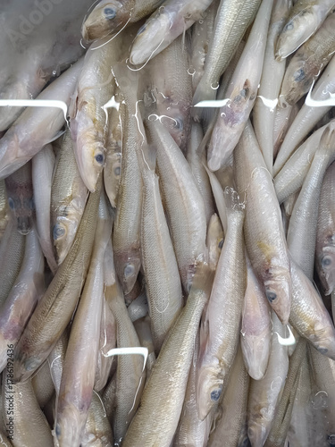 Fish eggs in cold water