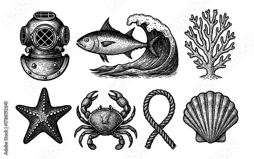 Vintage nautical and marine life collection with fish, shell, coral, crab, and wave