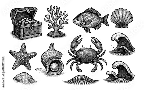 Hand drawn vintage ocean elements including crab and coral with waves and shells