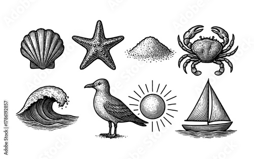 Vintage nautical elements with seashells, starfish, and sailboat