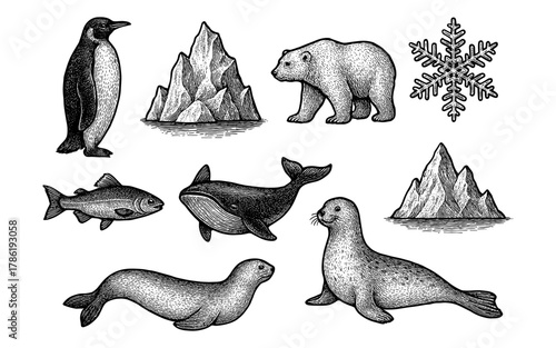 Hand drawn arctic wildlife and iceberg collection with penguin, seal, and polar bear