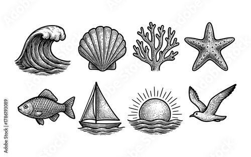 Vintage nautical elements: waves, shells, and marine life in black and white