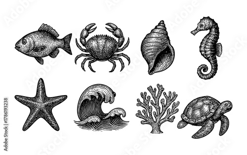 Detailed marine life sketch set: fish, crab, shell, seahorse, starfish, wave, coral, turtle