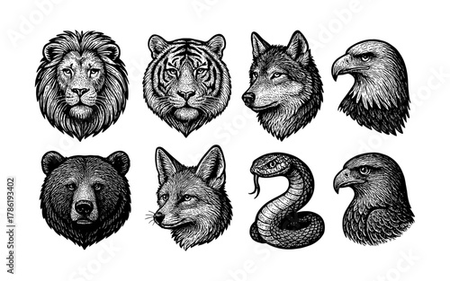 Detailed animal portraits in vintage style: wild creatures collection