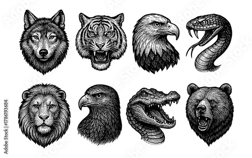 Detailed animal portraits in monochrome: wild beast faces emphasizing intricacy and texture